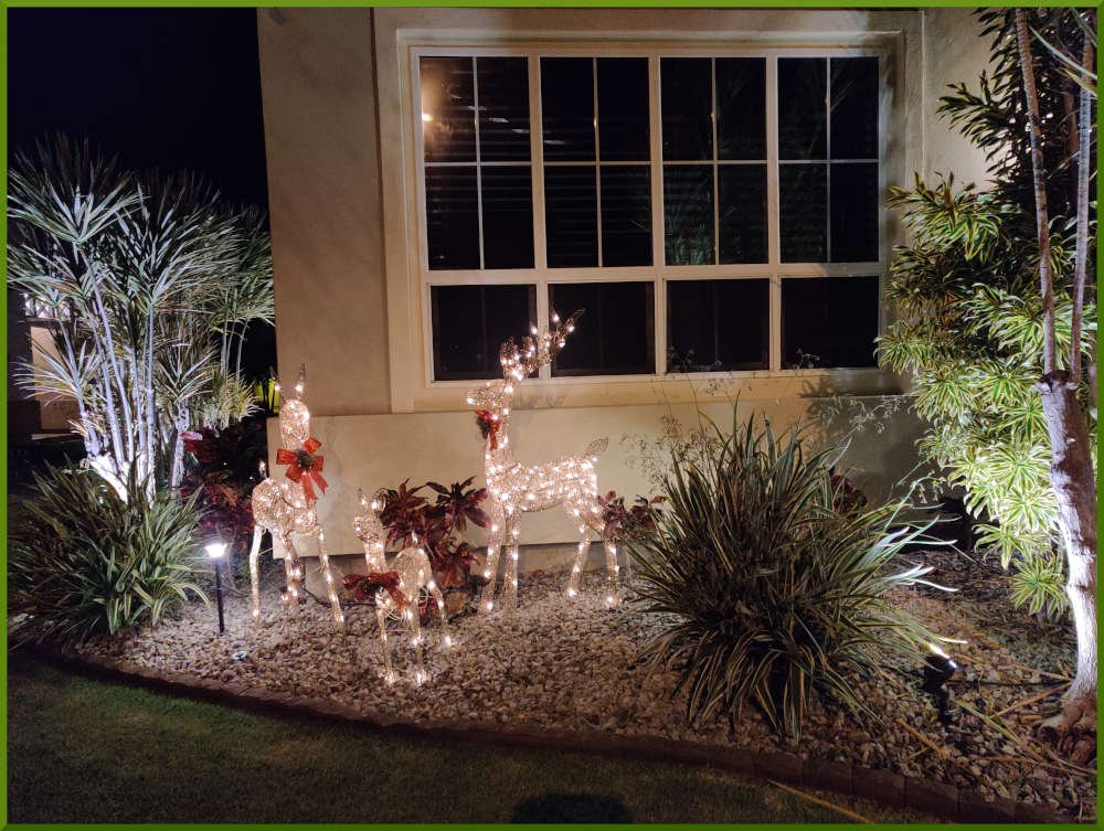 2021 Christmas decorations around Iwalani Village