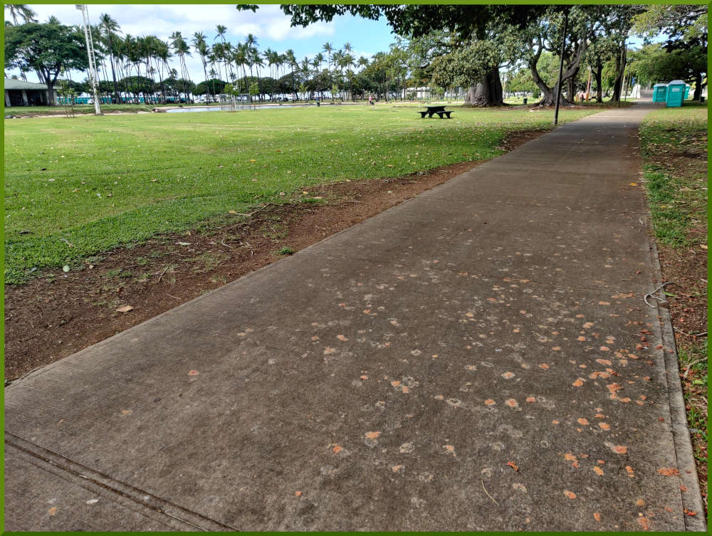 Ala Moana park